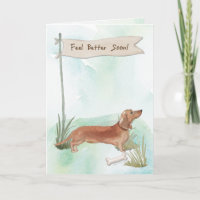 Tan Dachshund voelt zich beter na chirurgie naar D