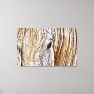 tan grange cheval toile enveloppé