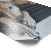 Tan Greyhound Chien Art Photo Imprimer (Coin)