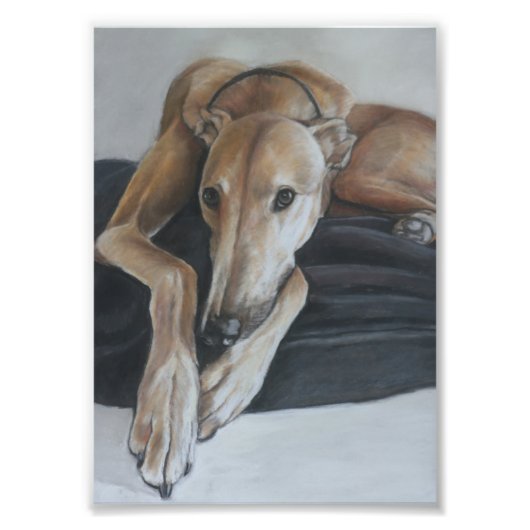 Tan Greyhound Chien Art Photo Imprimer (Devant)