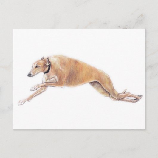Tan Greyhound Running Dog Art Briefkaart (Voorkant)