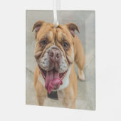 Tan Happy Dog-foto Glas Ornament (Voorkant links)