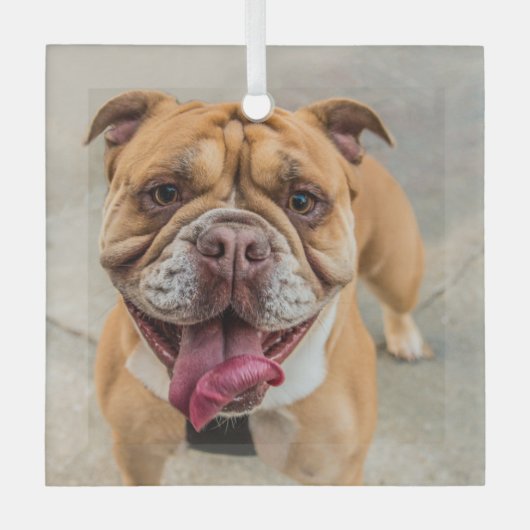 Tan Happy Dog-foto Glas Ornament (Voorkant)