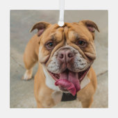 Tan Happy Dog-foto Glas Ornament (Achterkant)