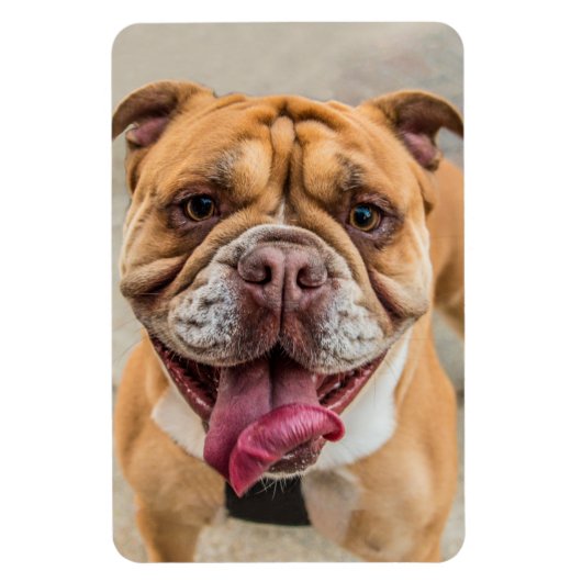 Tan Happy Dog-foto Magneet (Verticaal)