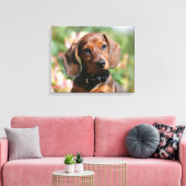 Tan Miniture Dachshund Canvas Afdruk (Insitu (Woonkamer))