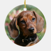 Tan Miniture Dachshund Keramisch Ornament (Achterkant)