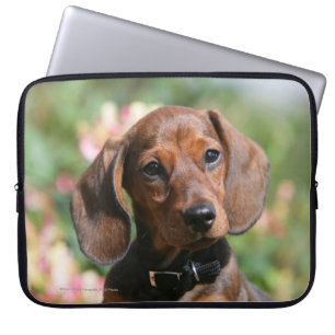 Tan Miniture Dachshund Laptop Sleeve