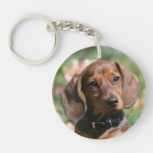 Tan Miniture Dachshund Sleutelhanger (Voorkant)
