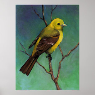 Tanager occidental, affiche d'art de faune