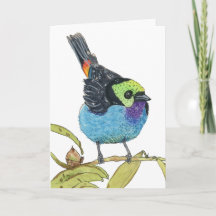 Tanager Paradis | Oiseau Tropical Coloré Carte de