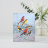 Tanager-Vintage Briefkaart (Staand voorkant)