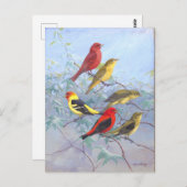 Tanager-Vintage Briefkaart (Voorkant / Achterkant)