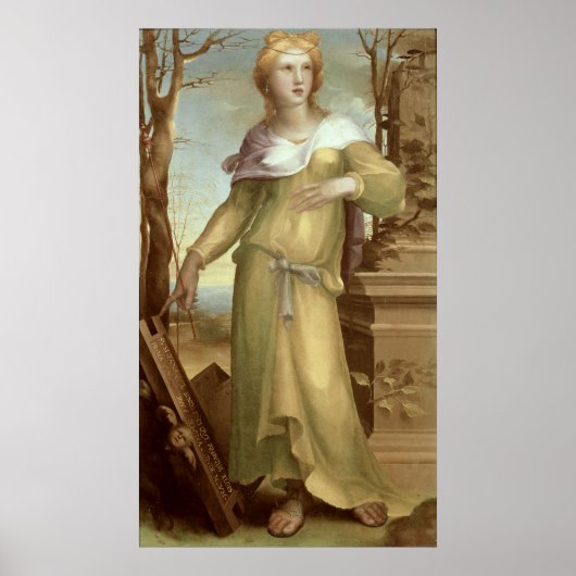 Tanaquil, c.1520-25 poster (Voorkant)