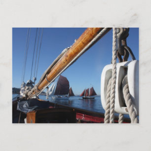 Tanbark Zeilen van een WA Wooden Boat Festival Briefkaart