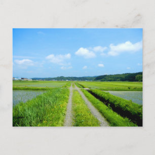 Tanbo Road Briefkaart