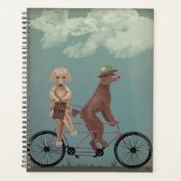 Tandem de caniche