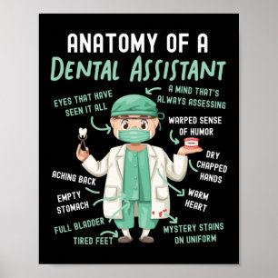 tandheelkundige anatomie van een tandheelkundige poster