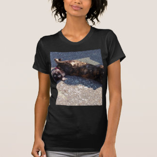 Tandschilderkat T-shirt