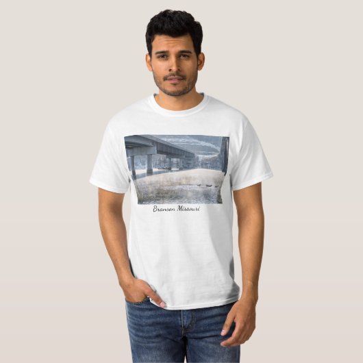 Taneycomo Foggy Winter Vist T-Shirt (Voorkant volledig)