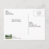 Taneycomo Summer Fog Briefkaart (Achterkant)