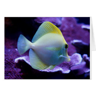 Tang jaune