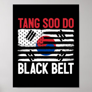 Tang Soo Do Black Belt Karate Fighter Koreaanse Ma Poster