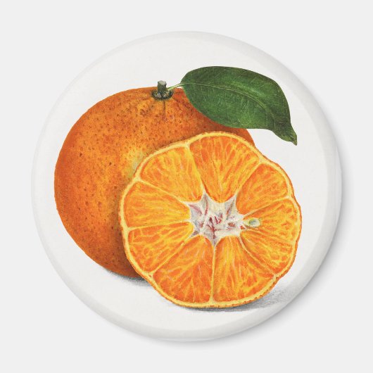 Tangerine Magneet (Voorkant)