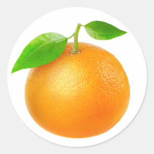 Tangerine Ronde Sticker