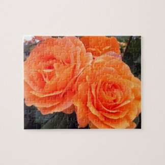 Tangerine Rozen, Legpuzzel, 20 bij 25 cm, 110 stuk Legpuzzel