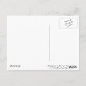 Tangle of Icy Branches Briefkaart (Achterkant)