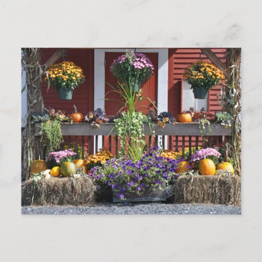 Tanglewood Fall Beauty - Carte postale (Devant)