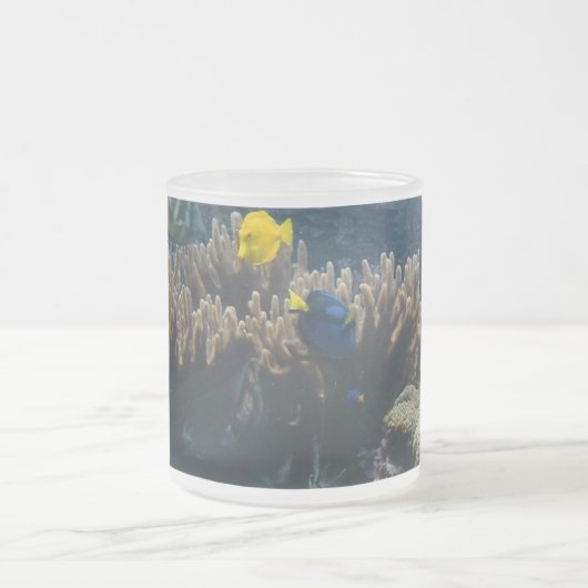 Tangs - mok (Center)