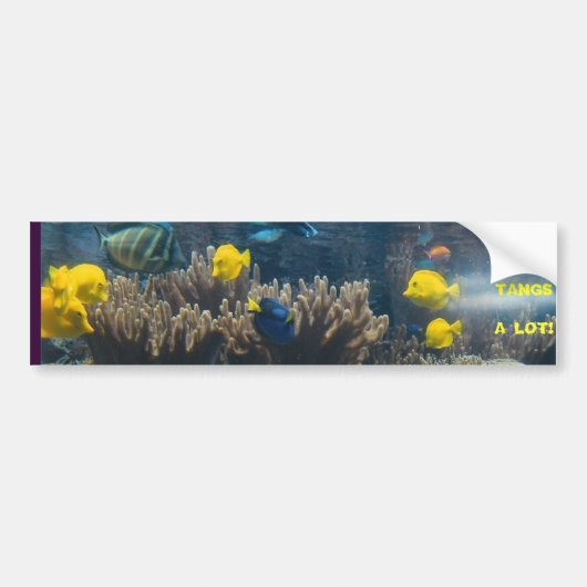 TANGS VEEL! BUMPERSTICKER (Voorkant)