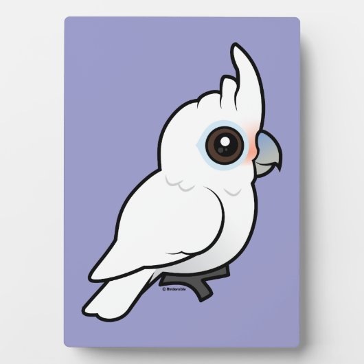 Tanimbar Corella Fotoplaat (voorkant)