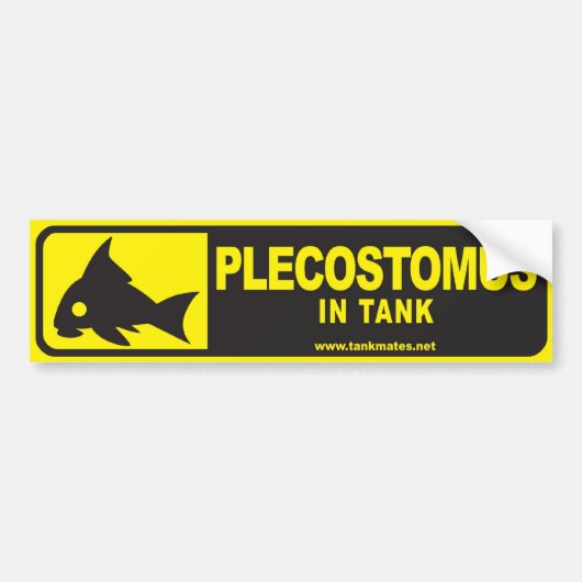 Tank Mates bumper sticker serie 1 — Plecostomus (Voorkant)