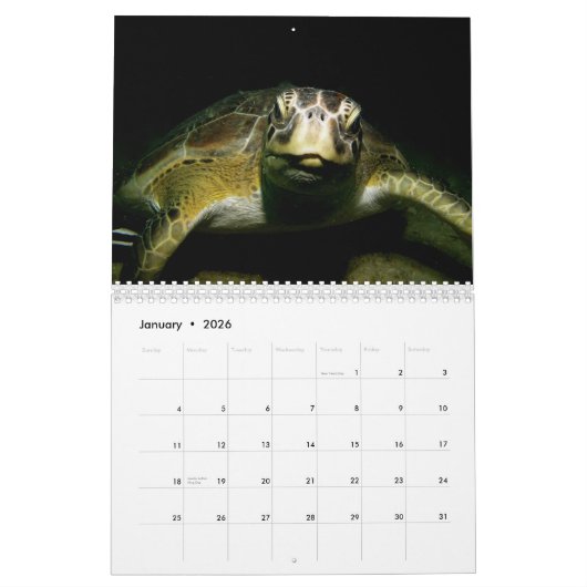 Tanks-A-Lot Scuba duikt 2012 Kalender (Jan 2026)
