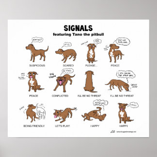 TANO Signals Poster