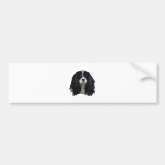 Tansy Bumpersticker