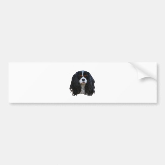 Tansy Bumpersticker (Voorkant)