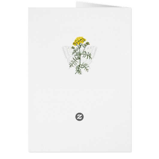 Tansy en Swallowtail kaart (Achterkant)