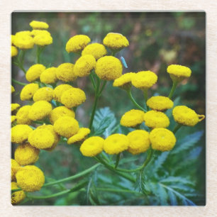 Tansy Flowers Glazen Onderzetter