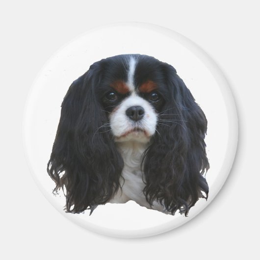 Tansy Magneet (Voorkant)