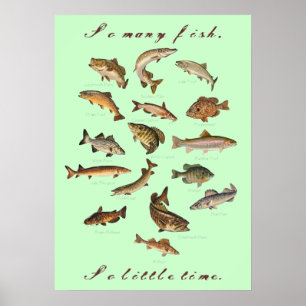 Tant De Poissons, Si Peu De Poster
