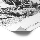 Tante Evins op de Temperance 'Stump' Poster (Hoek)