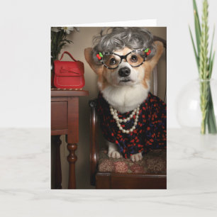 Tante Gussy corgi bien obtenir carte