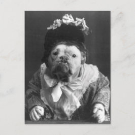 tante Maude Dog Briefkaart