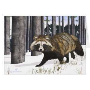 Tanuki - Raccoon Chien