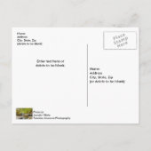 Tanyard Creek Waterval in de Herfst Briefkaart (Achterkant)