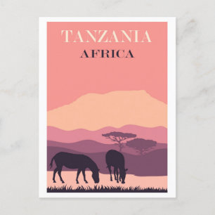 Tanzania Afrika Roze  Zebra Reizen Briefkaart